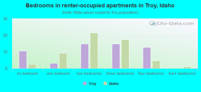 Bedrooms in renter-occupied apartments in Troy, Idaho