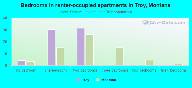 Bedrooms in renter-occupied apartments in Troy, Montana