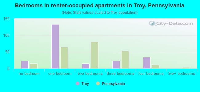 Bedrooms in renter-occupied apartments in Troy, Pennsylvania