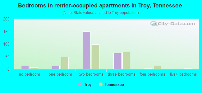 Bedrooms in renter-occupied apartments in Troy, Tennessee