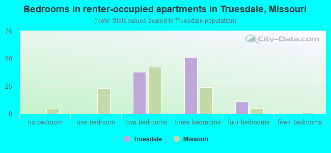Bedrooms in renter-occupied apartments in Truesdale, Missouri