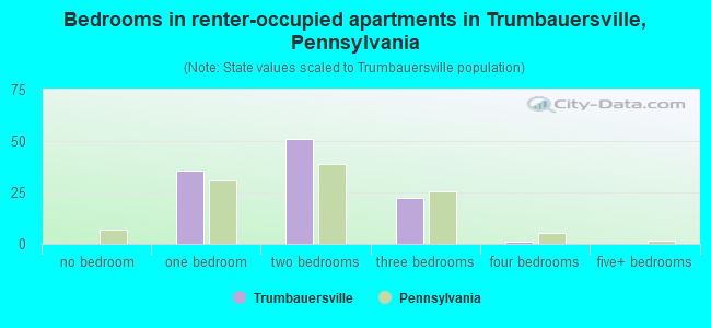 Bedrooms in renter-occupied apartments in Trumbauersville, Pennsylvania