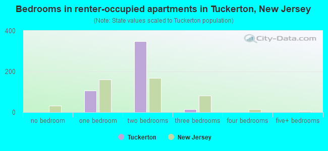 Bedrooms in renter-occupied apartments in Tuckerton, New Jersey