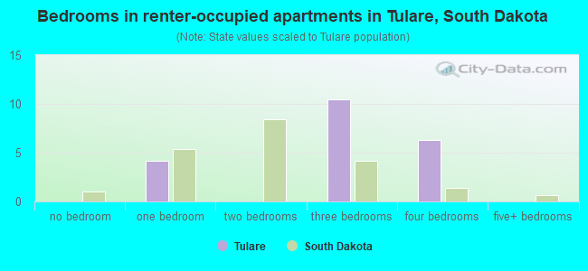 Bedrooms in renter-occupied apartments in Tulare, South Dakota