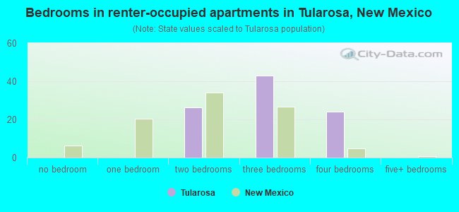 Bedrooms in renter-occupied apartments in Tularosa, New Mexico