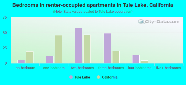 Bedrooms in renter-occupied apartments in Tule Lake, California