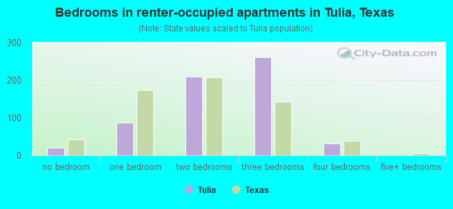Bedrooms in renter-occupied apartments in Tulia, Texas