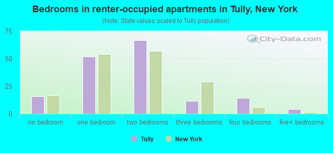 Bedrooms in renter-occupied apartments in Tully, New York