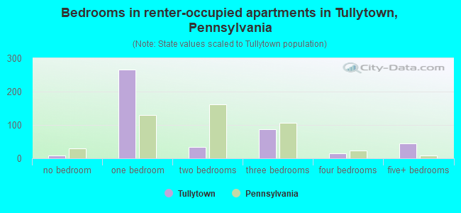 Bedrooms in renter-occupied apartments in Tullytown, Pennsylvania