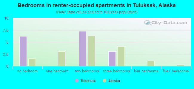 Bedrooms in renter-occupied apartments in Tuluksak, Alaska