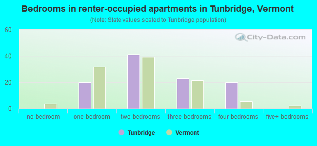 Bedrooms in renter-occupied apartments in Tunbridge, Vermont