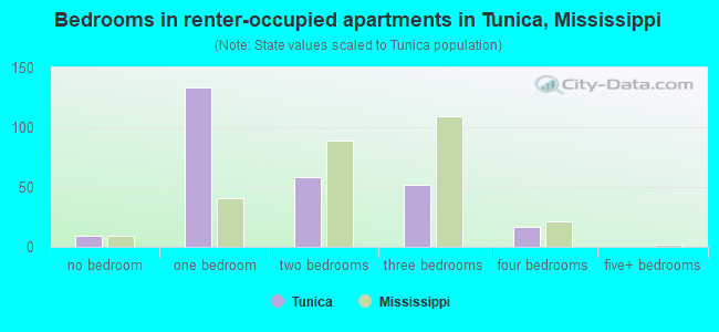 Bedrooms in renter-occupied apartments in Tunica, Mississippi