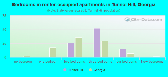 Bedrooms in renter-occupied apartments in Tunnel Hill, Georgia