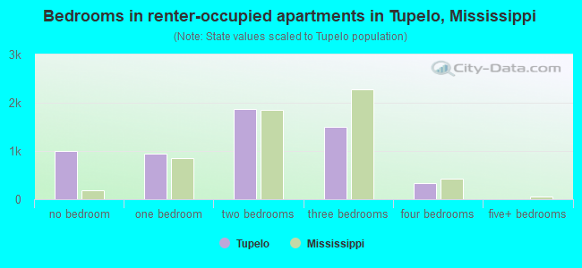 Bedrooms in renter-occupied apartments in Tupelo, Mississippi