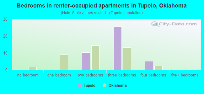 Bedrooms in renter-occupied apartments in Tupelo, Oklahoma
