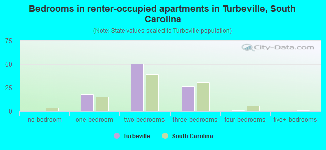 Bedrooms in renter-occupied apartments in Turbeville, South Carolina