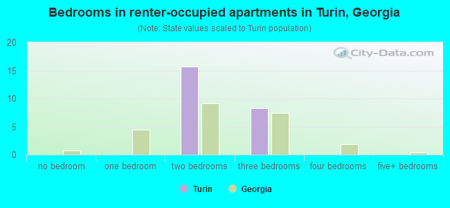 Bedrooms in renter-occupied apartments in Turin, Georgia