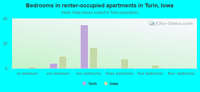 Bedrooms in renter-occupied apartments in Turin, Iowa