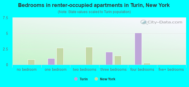 Bedrooms in renter-occupied apartments in Turin, New York