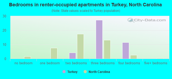 Bedrooms in renter-occupied apartments in Turkey, North Carolina