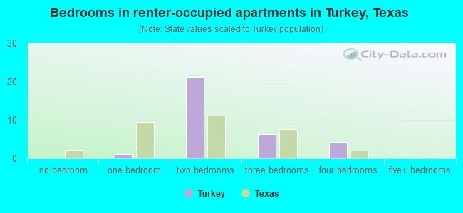 Bedrooms in renter-occupied apartments in Turkey, Texas