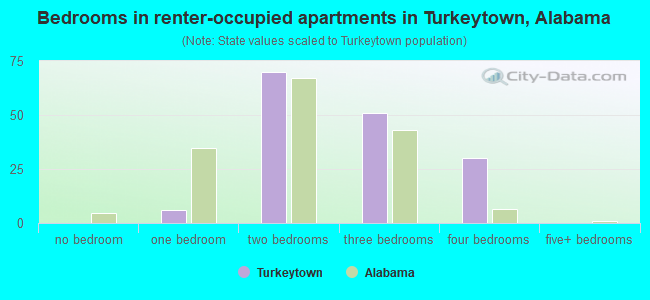 Bedrooms in renter-occupied apartments in Turkeytown, Alabama