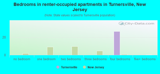 Bedrooms in renter-occupied apartments in Turnersville, New Jersey