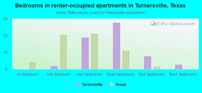 Bedrooms in renter-occupied apartments in Turnersville, Texas