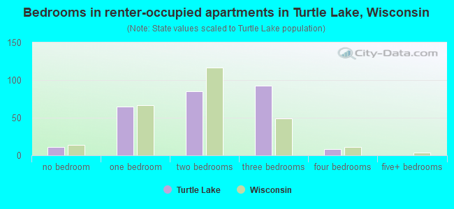 Bedrooms in renter-occupied apartments in Turtle Lake, Wisconsin