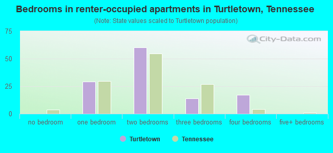 Bedrooms in renter-occupied apartments in Turtletown, Tennessee