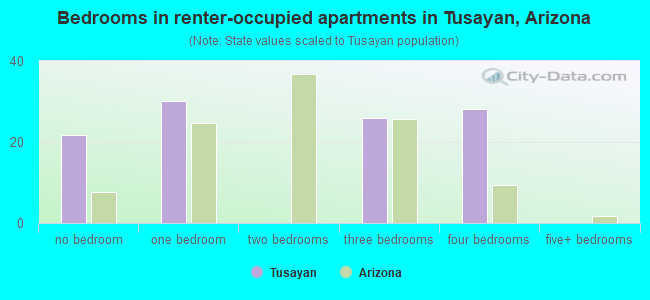 Bedrooms in renter-occupied apartments in Tusayan, Arizona