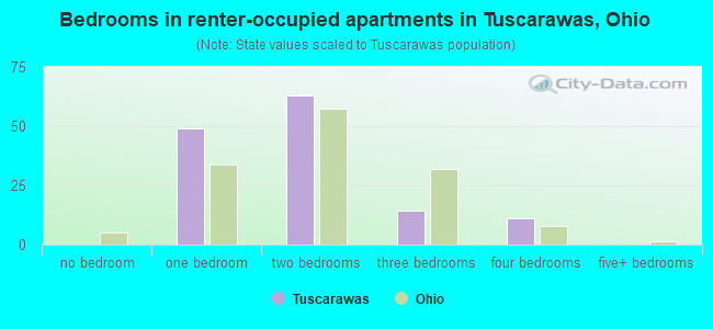 Bedrooms in renter-occupied apartments in Tuscarawas, Ohio