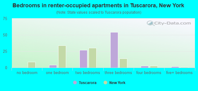 Bedrooms in renter-occupied apartments in Tuscarora, New York