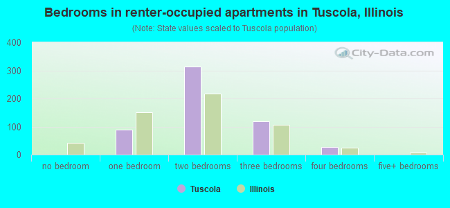 Bedrooms in renter-occupied apartments in Tuscola, Illinois