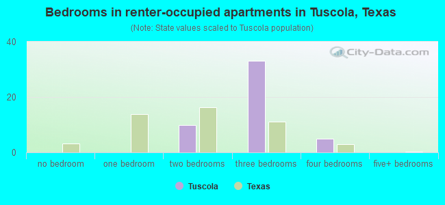 Bedrooms in renter-occupied apartments in Tuscola, Texas