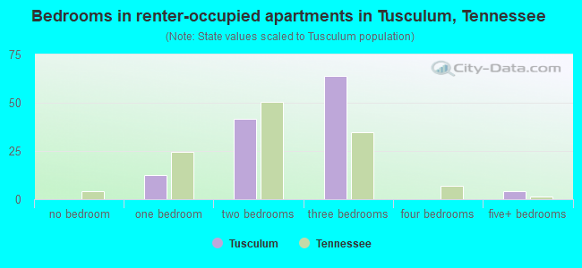 Bedrooms in renter-occupied apartments in Tusculum, Tennessee