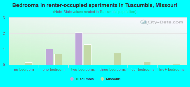 Bedrooms in renter-occupied apartments in Tuscumbia, Missouri