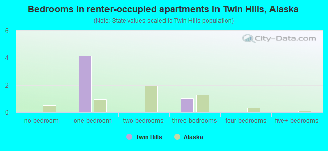 Bedrooms in renter-occupied apartments in Twin Hills, Alaska