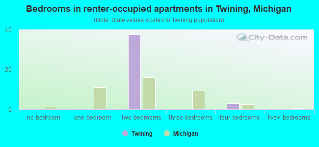 Bedrooms in renter-occupied apartments in Twining, Michigan