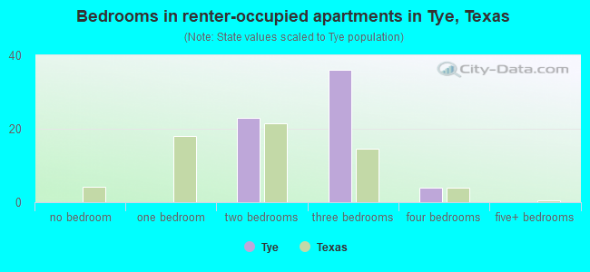 Bedrooms in renter-occupied apartments in Tye, Texas