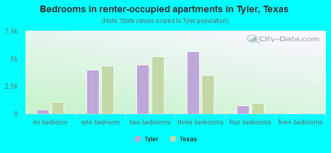 Bedrooms in renter-occupied apartments in Tyler, Texas