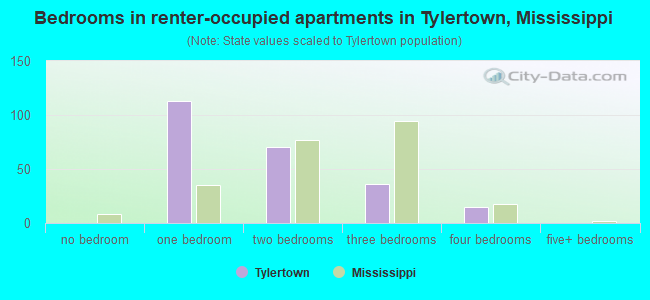 Bedrooms in renter-occupied apartments in Tylertown, Mississippi