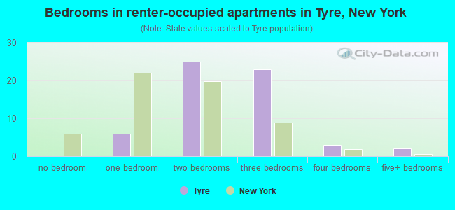 Bedrooms in renter-occupied apartments in Tyre, New York