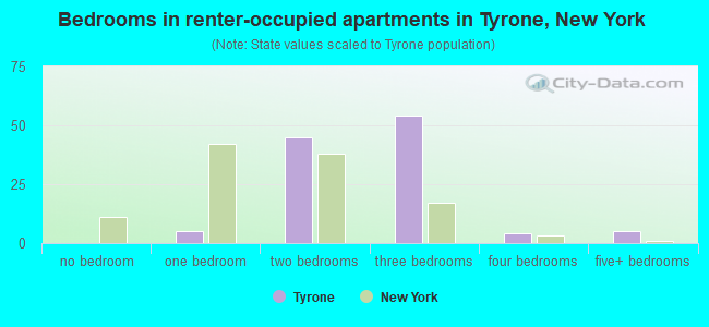 Bedrooms in renter-occupied apartments in Tyrone, New York