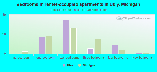 Bedrooms in renter-occupied apartments in Ubly, Michigan