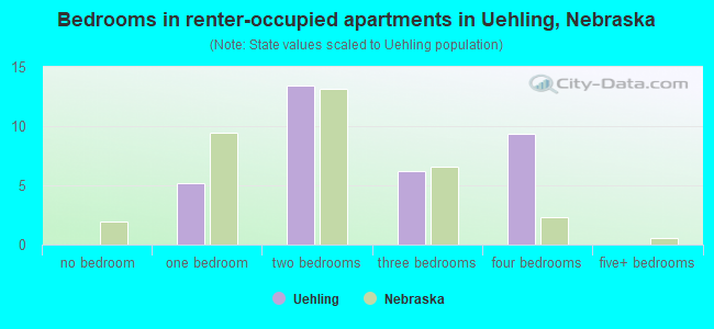 Bedrooms in renter-occupied apartments in Uehling, Nebraska
