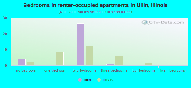 Bedrooms in renter-occupied apartments in Ullin, Illinois