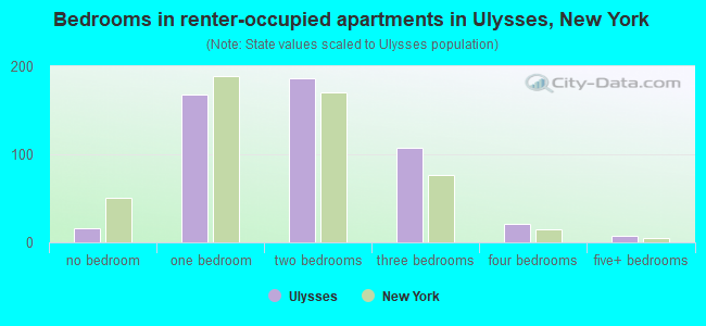 Bedrooms in renter-occupied apartments in Ulysses, New York