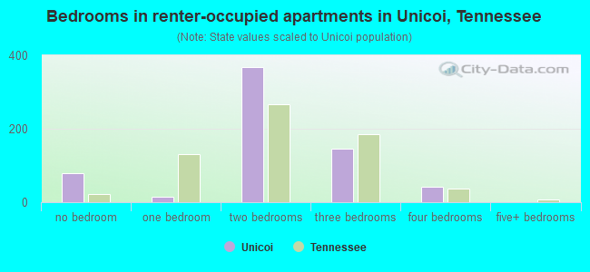 Bedrooms in renter-occupied apartments in Unicoi, Tennessee