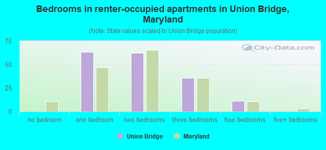 Bedrooms in renter-occupied apartments in Union Bridge, Maryland